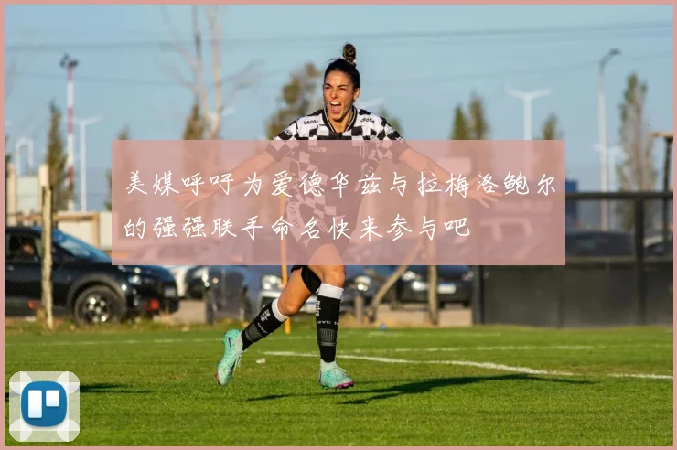美媒呼吁为爱德华兹与拉梅洛鲍尔的强强联手命名快来参与吧