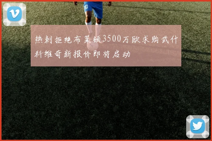 热刺拒绝布莱顿3500万欧求购武什科维奇新报价即将启动